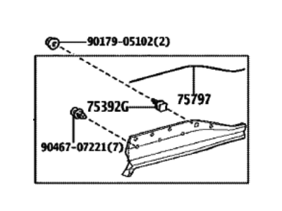 Toyota 75077-42070 MOULDING SUB-ASSY, R