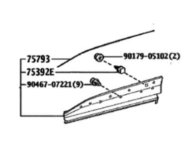 Toyota 75073-42070 MOULDING SUB-ASSY, F
