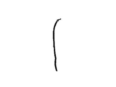 Toyota 67895-0C030 WEATHERSTRIP, RR DOO