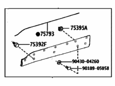 Toyota 75074-0A040 Lower Molding
