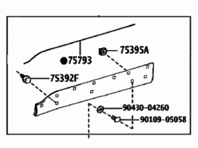 Toyota 75073-0A040 Lower Molding