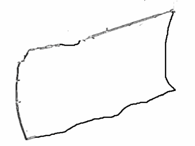 Toyota 67112-06200 Outer Panel