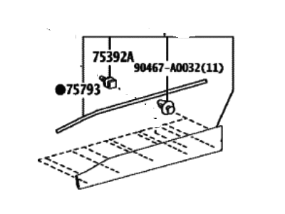 Toyota 75074-42050-C0 Lower Molding