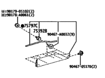 Toyota 75078-42050-C0 Lower Molding