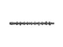 BMW 535i Camshaft