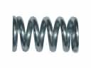 Buick Exhaust Spring