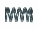 GMC S15 Exhaust Spring