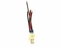 Fuel Pump Wiring Harness
