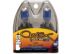 Pontiac T1000 Headlight Bulbs