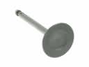 Nissan Juke Intake Valve