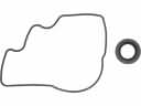 Ford Escort Oil Pump Gasket