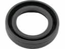 Ford Escort Oil Pump Seal