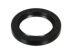 Transfer Case Extension Housing Seals