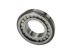 Ford Transmission Cylindrical Bearings