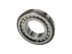 Transmission Cylindrical Bearings