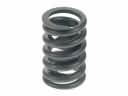 Nissan Juke Valve Spring